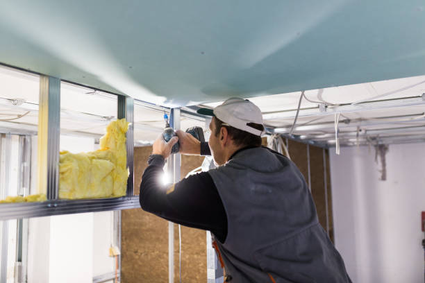 Best Types of Insulation in Dunedin, FL