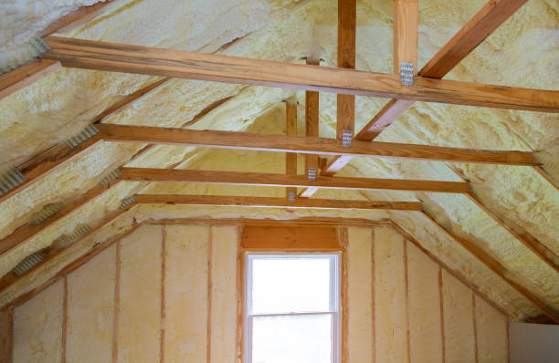Best Residential Insulation in Dunedin, FL